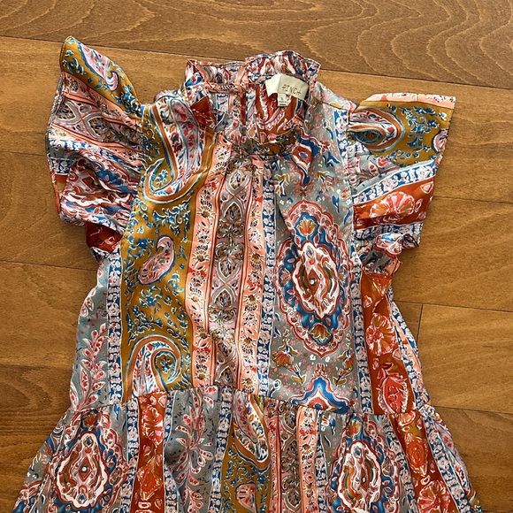 Pinch Vibrant Paisley‎ Midi Dress - Picture 3 of 3